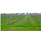 Lot 4 Myall Way DP 1108133, Moama NSW 2731