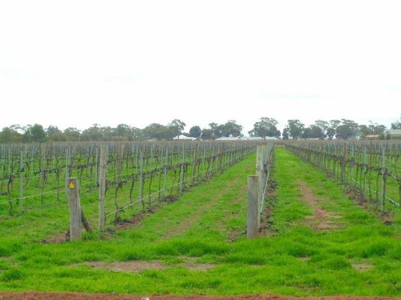 Lot 4 Myall Way DP 1108133, Moama NSW 2731