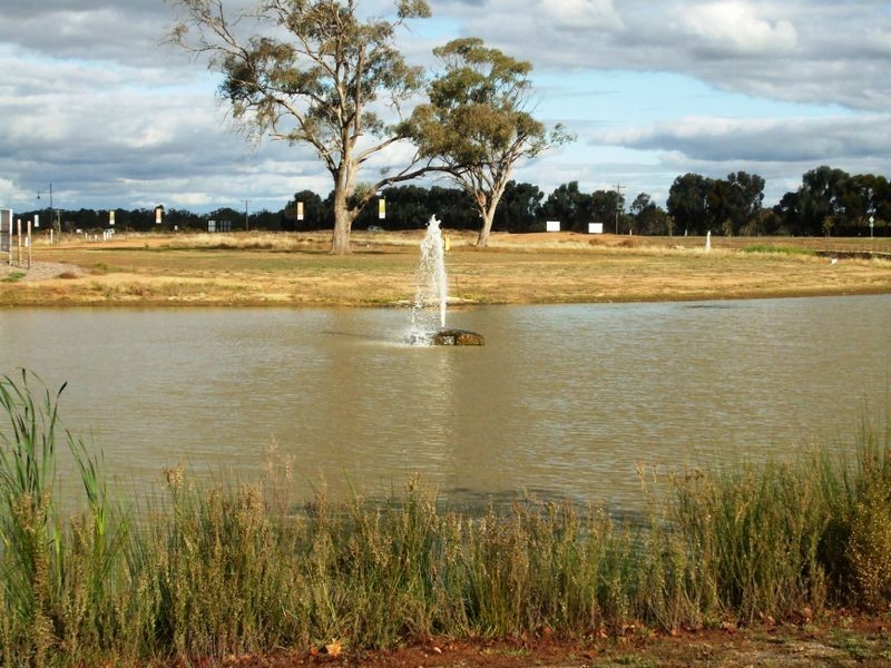 5 Cabernet Drive, Moama NSW 2731