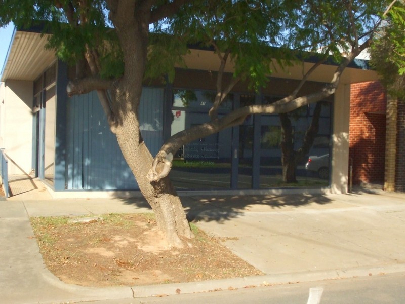 41 Mackay Street, Rochester VIC 3561