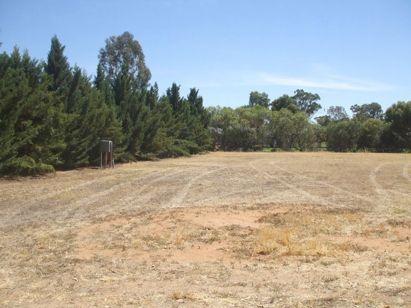 12 Charters Drive, Moama NSW 2731