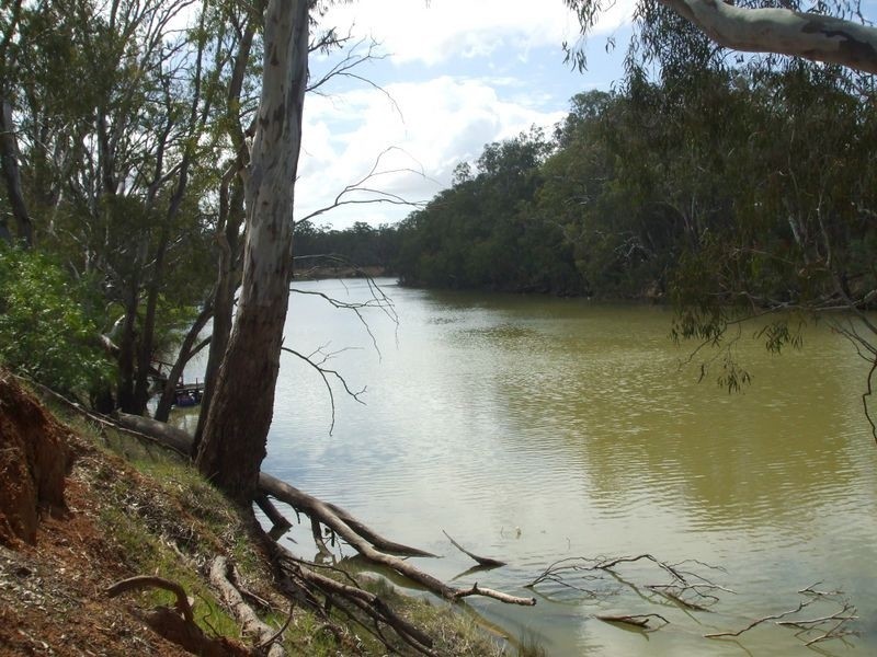 64 Moorabinda Road, Echuca VIC 3564