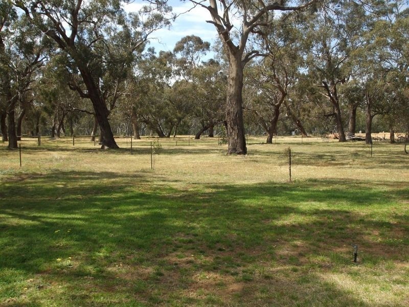 64 Moorabinda Road, Echuca VIC 3564