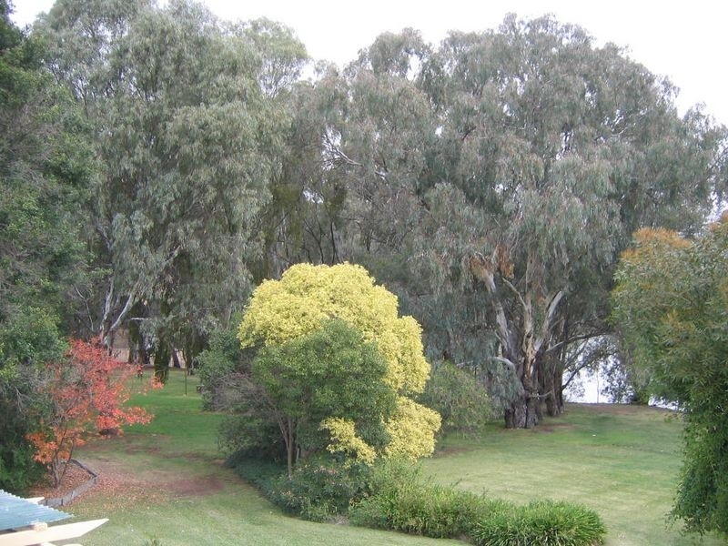 13-20 Winbi Lane, Moama NSW 2731