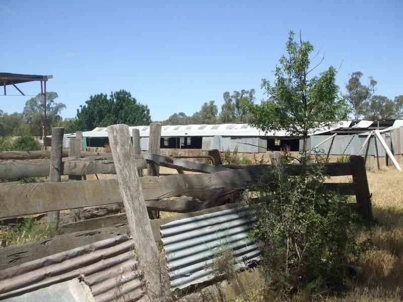 91C Sectio Hipwell Road, Gunbower VIC 3566