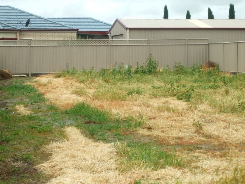 1 Morphed Drive, Echuca VIC 3564