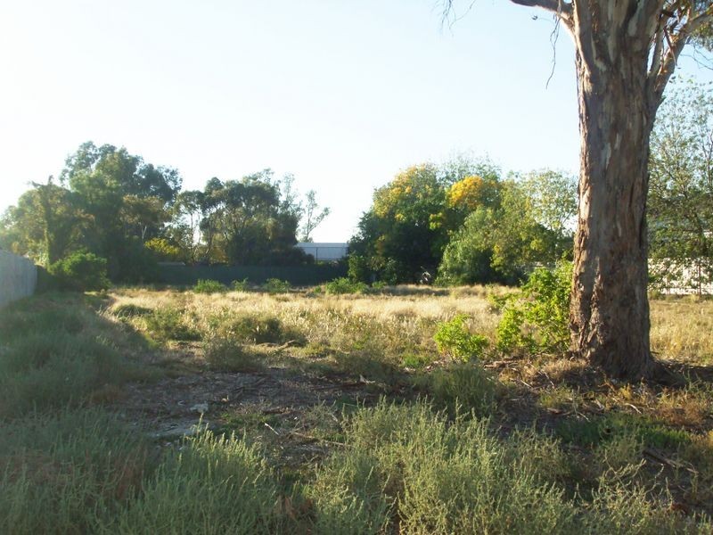 10 McIntosh Street, Echuca VIC 3564
