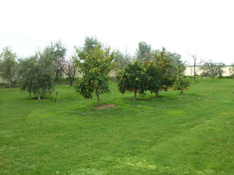 87 Edis Street, Kyabram VIC 3620