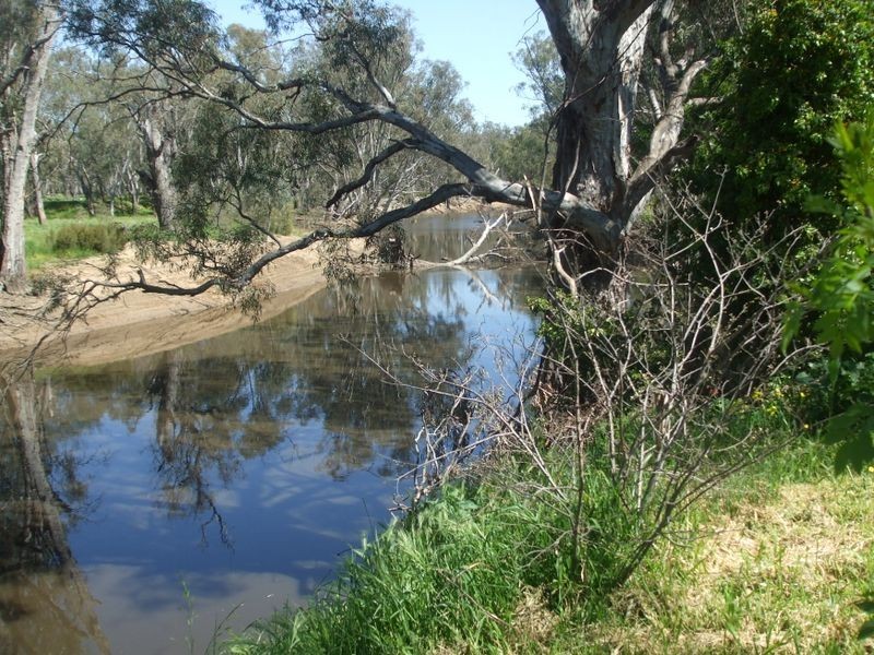 14 Warren Street, Echuca VIC 3564