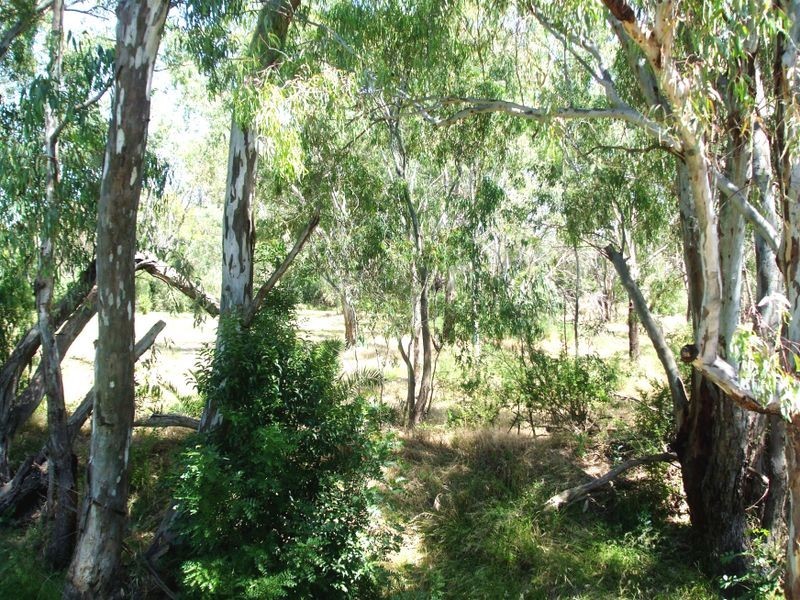 1/246 Eyre Street, Echuca VIC 3564