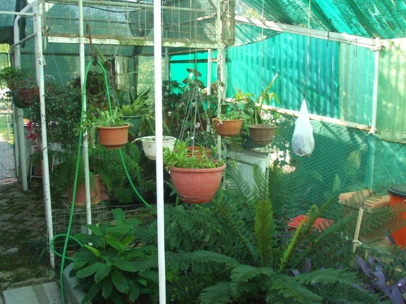 43 Echuca Street, Moama NSW 2731