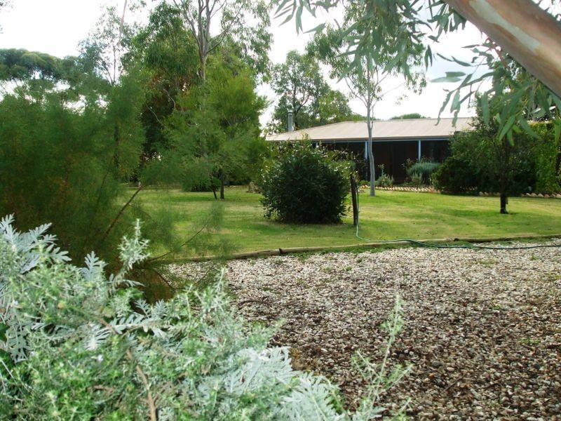 1060 Mt Terricks Road, Echuca VIC 3564
