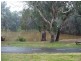 2 Heygarth Street, Echuca VIC 3564