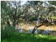 1 McKenzie Street, Echuca VIC 3564