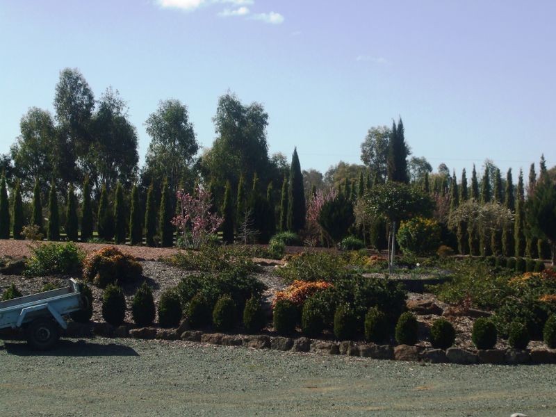 309 Mt Terricks Road, Echuca VIC 3564