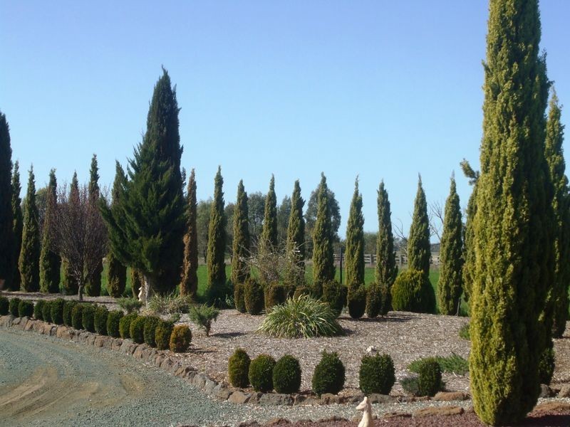 309 Mt Terricks Road, Echuca VIC 3564