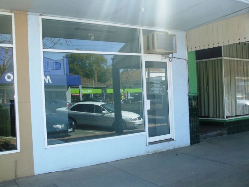 54 Mackay Street, Rochester VIC 3561