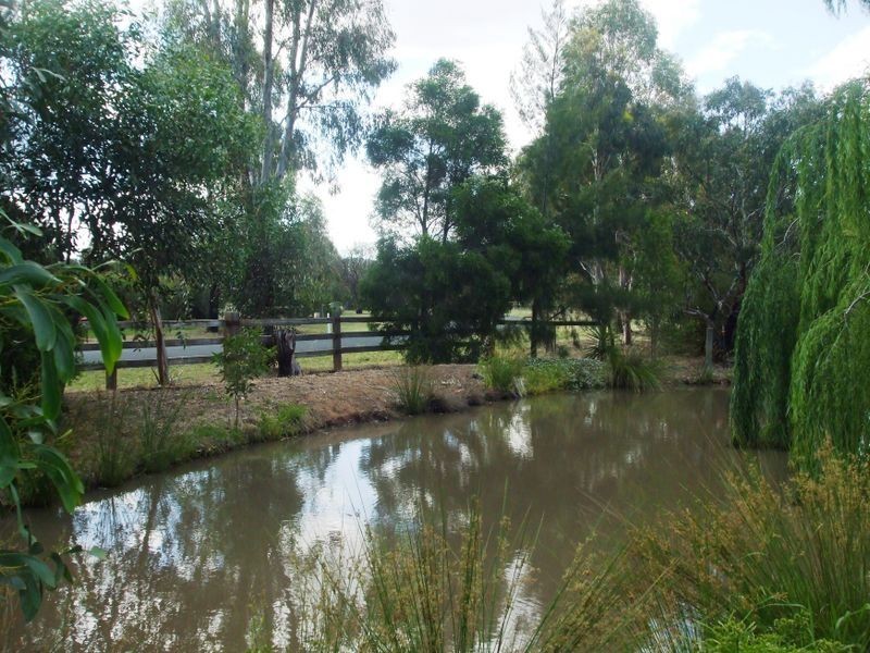 52 Murray Drive, Echuca VIC 3564