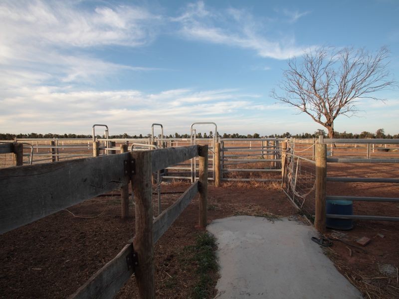 Rosewood McKindlay Road, Moama NSW 2731