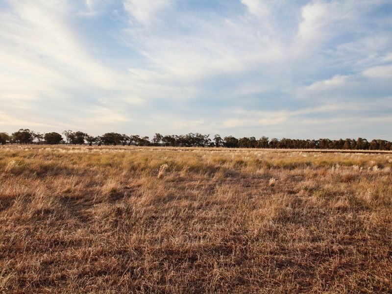 Rosewood McKindlay Road, Moama NSW 2731