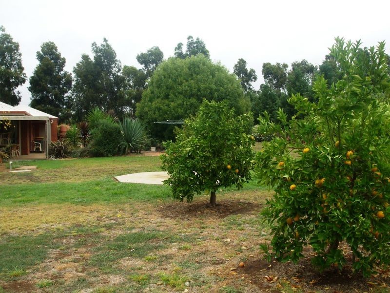 10 Schoeffel Drive, Echuca VIC 3564