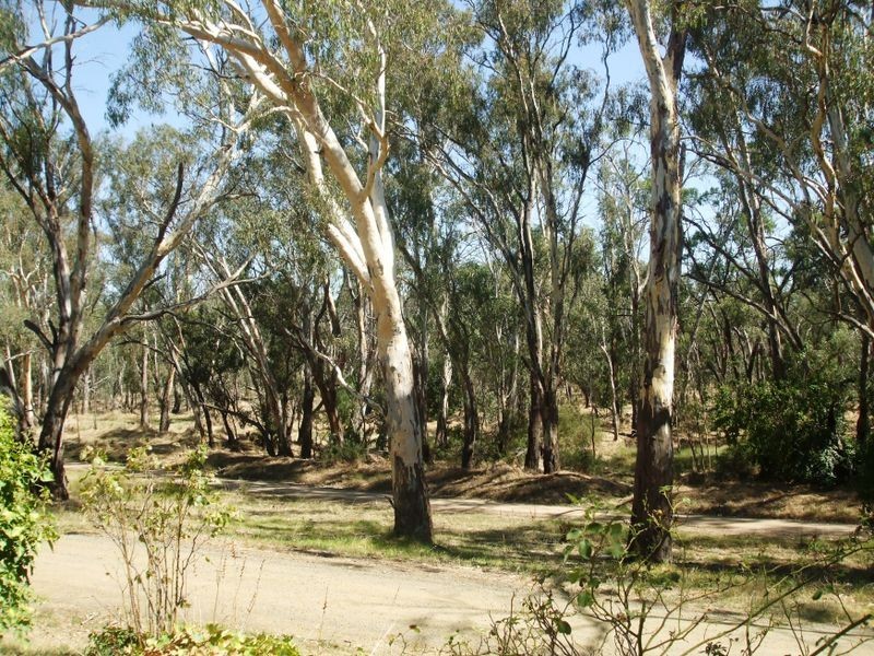 5 Jarman Street, Echuca VIC 3564