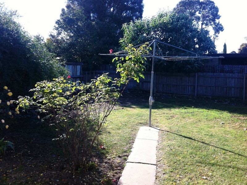 6 Montgomery Street, Echuca VIC 3564