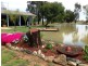 1060 Mount Terrick Rd, Echuca VIC 3564