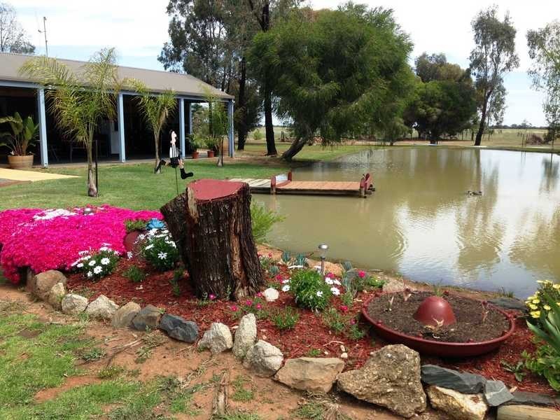 1060 Mount Terrick Rd, Echuca VIC 3564