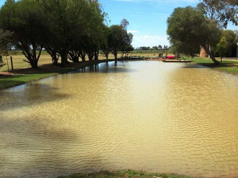 1060 Mount Terrick Rd, Echuca VIC 3564