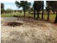 1060 Mount Terrick Rd, Echuca VIC 3564