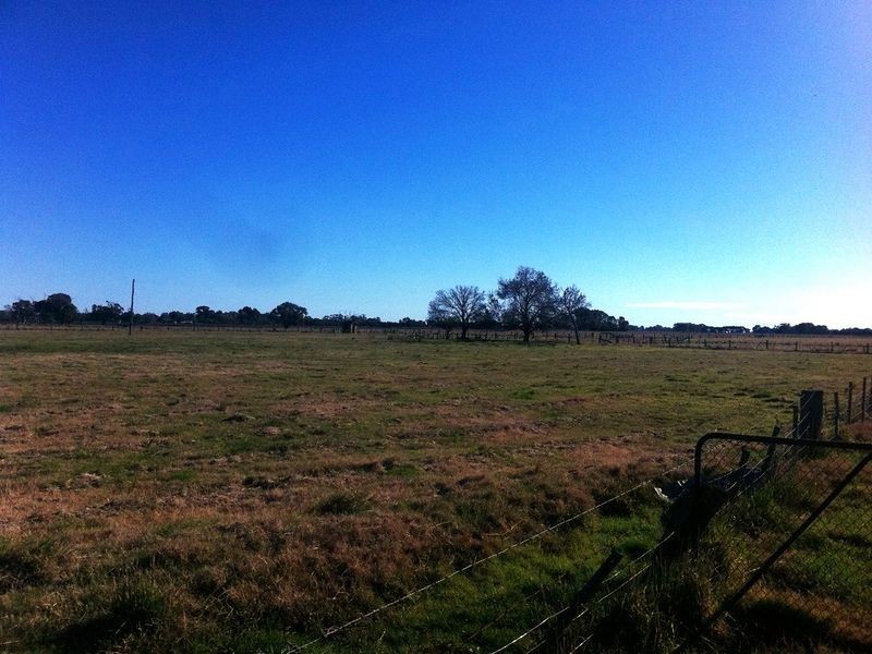 1 Strathallen Road, Lockington VIC 3563