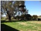 535 Echuca-Mitiamo Rd, Echuca VIC 3564