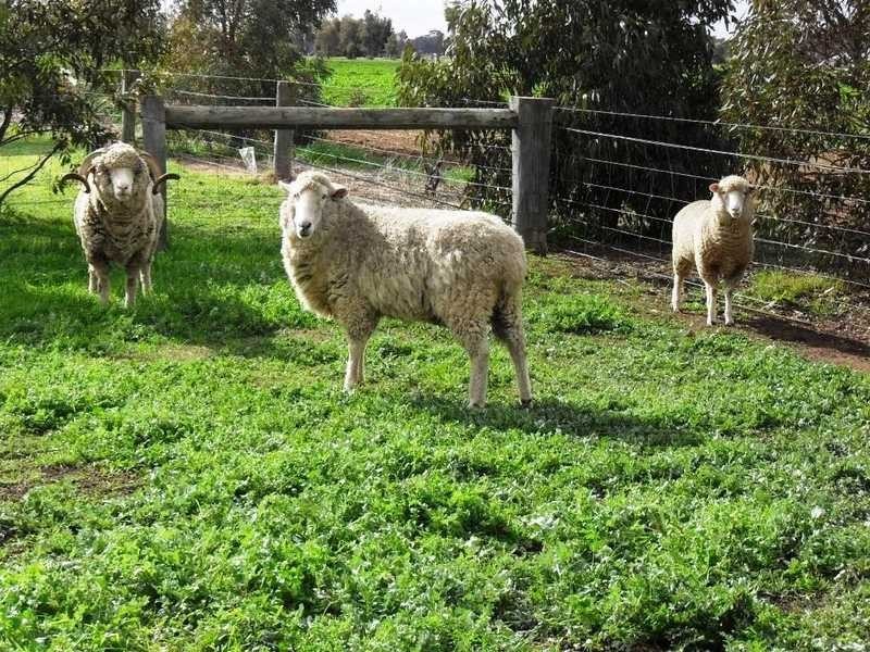 7640 Northern Highway, Echuca VIC 3564