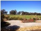 439 Maryann Rd, Echuca VIC 3564