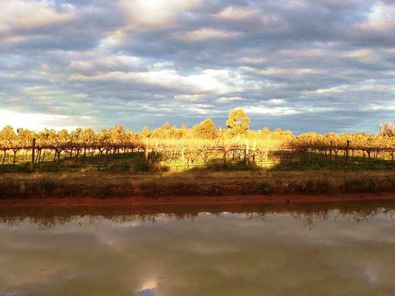 508 Perricoota Rd, Moama NSW 2731