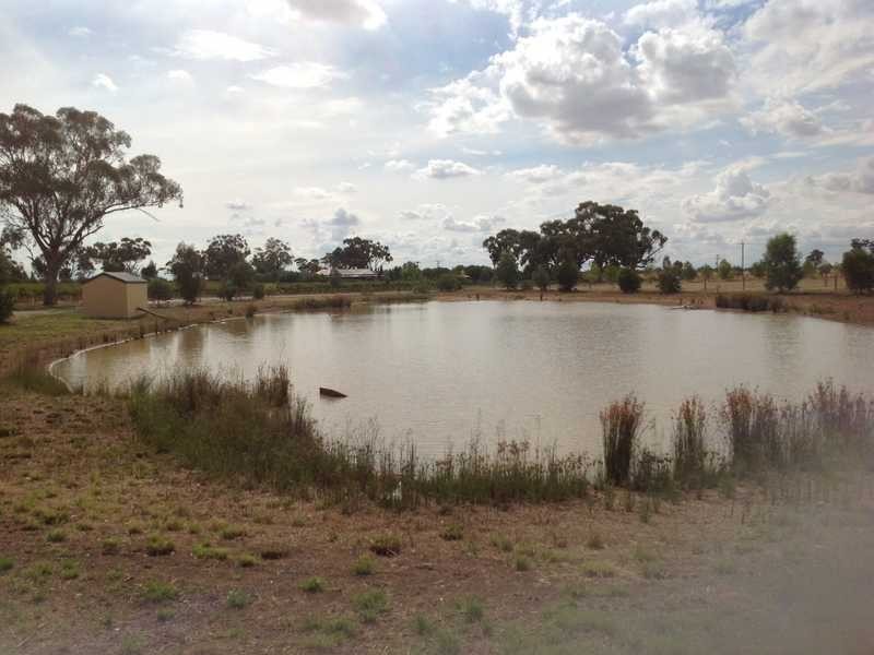 12 Manzanillo Avenue, Moama NSW 2731