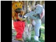 0 Easter Egg Hunt, Echuca VIC 3564