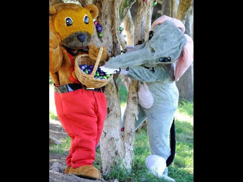 0 Easter Egg Hunt, Echuca VIC 3564