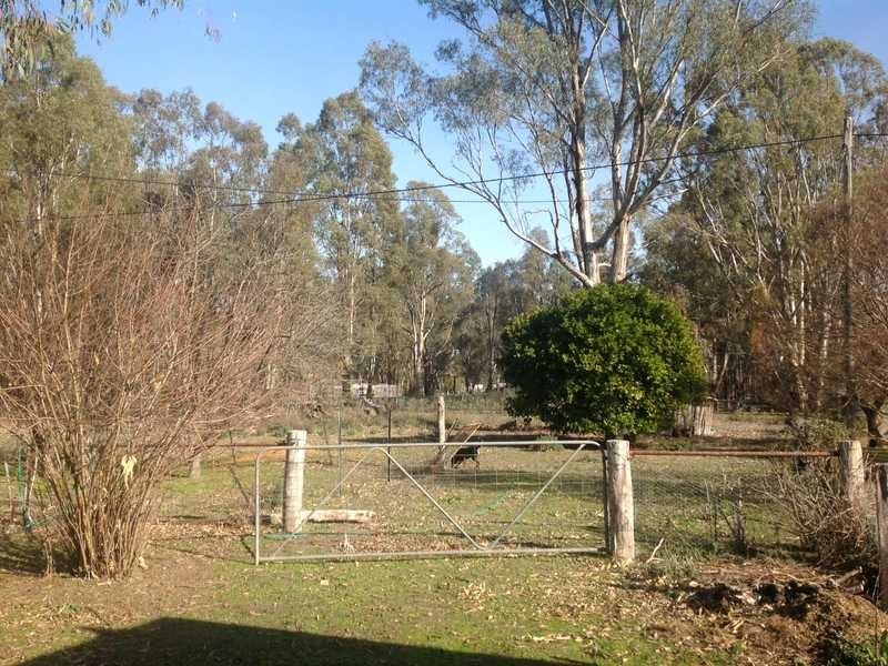 13 Trent Rd, Mathoura NSW 2710