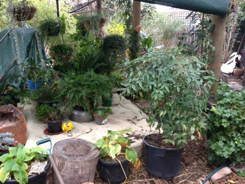 136 Sturt St, Echuca VIC 3564