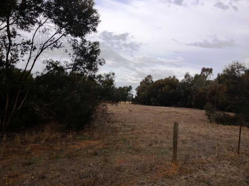 16 Murray Drive, Echuca VIC 3564