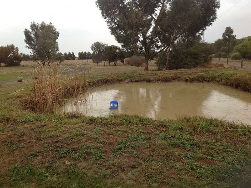 969 Mt Terrick Rd, Echuca VIC 3564