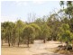14 Nolan Road, Echuca VIC 3564