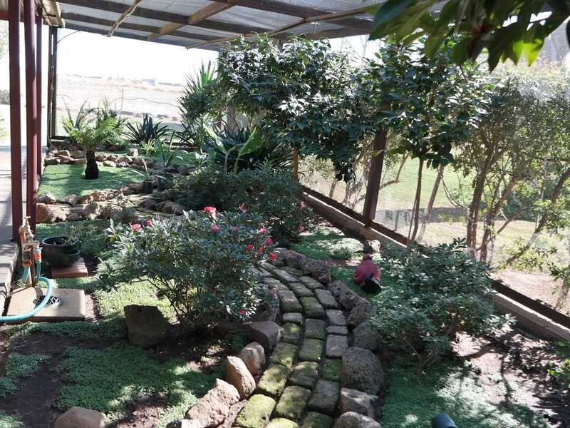 258 Wharparilla Road, Wharparilla VIC 3564