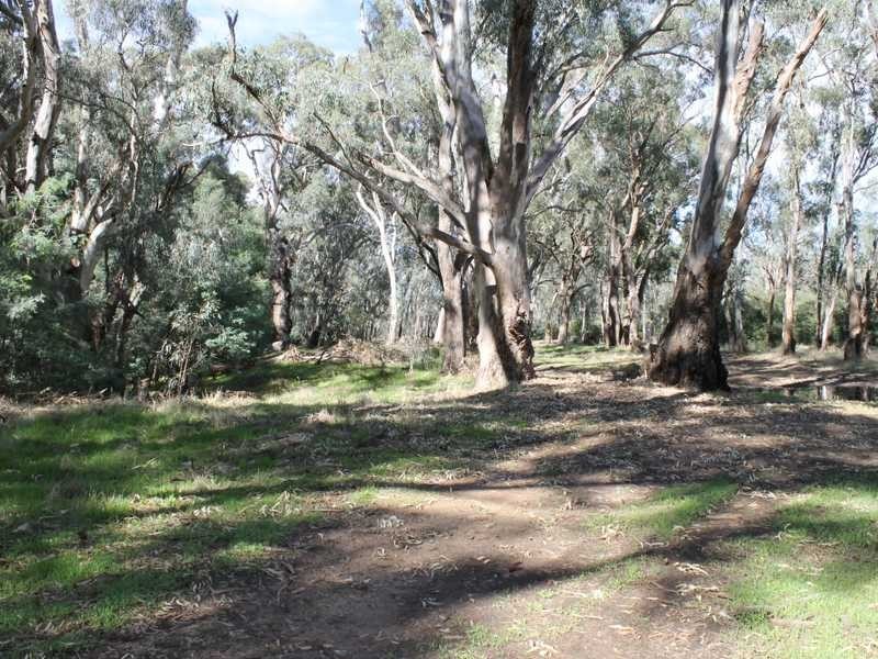 42 Glyn Road, Echuca VIC 3564