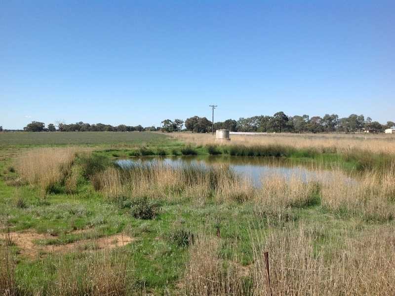 60 Point Road, Echuca VIC 3564