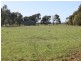 Lot 50 Murray Drive, Echuca VIC 3564