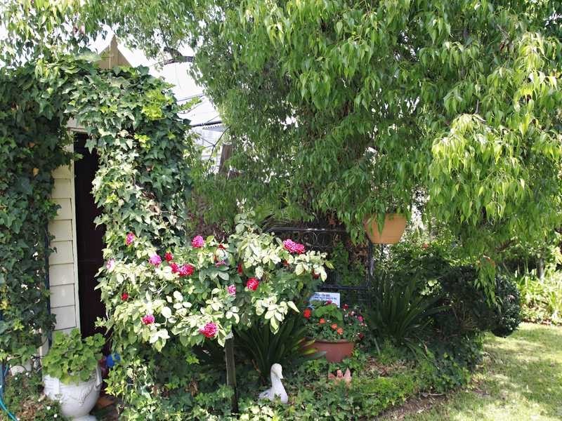 55 Hare Street, Echuca VIC 3564