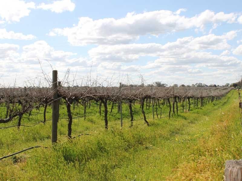 6-7 10-11 Gulval Lane / Thyra Road, Moama NSW 2731